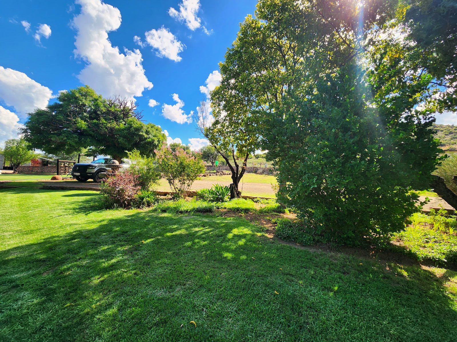 The garden