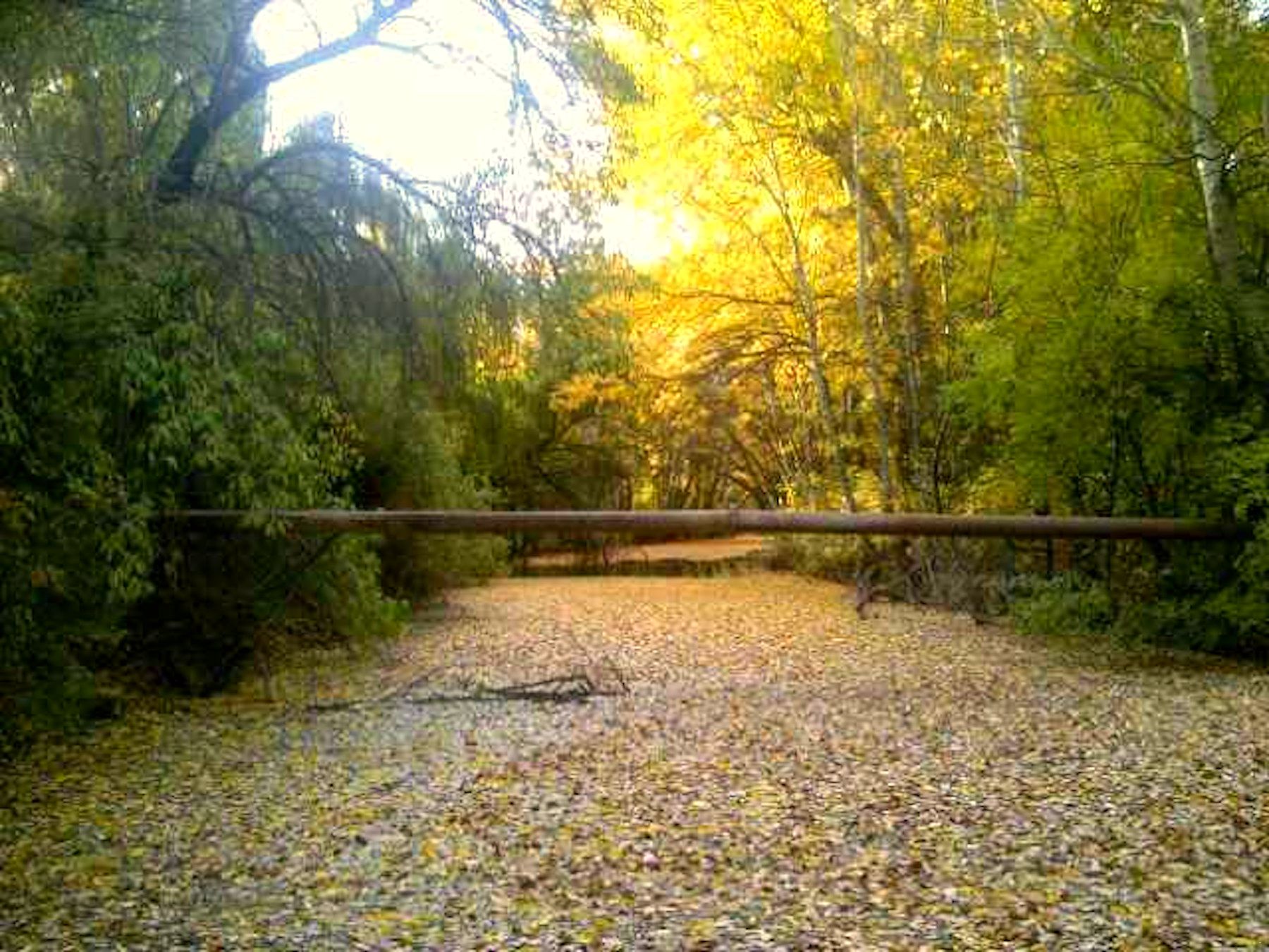 Autumn on the farm
