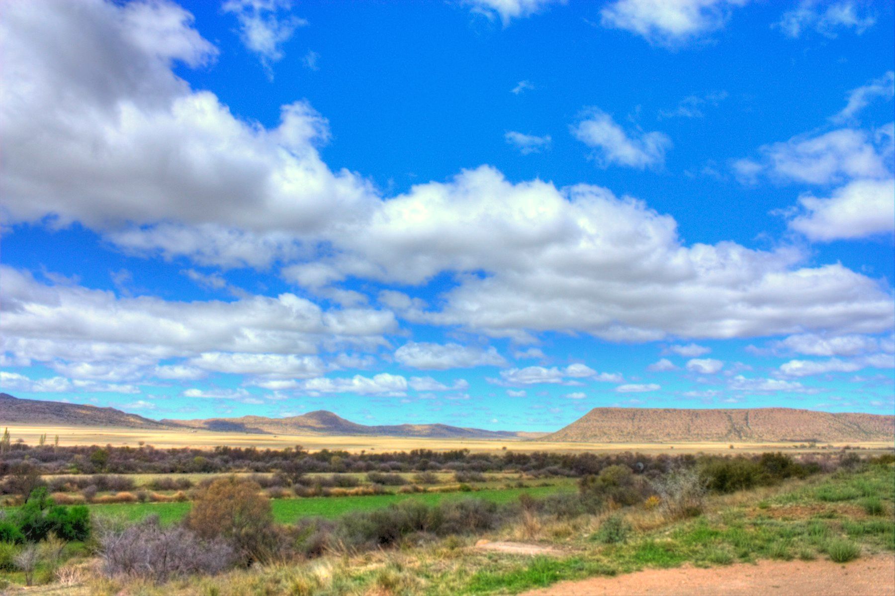 Karoo veld